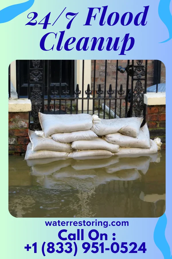 24/7 Flood Cleanup in Mountain Lodge Park, NY
