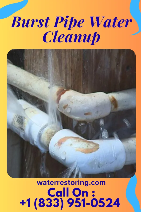 Burst Pipe Water Cleanup in Mountain Lodge Park, NY