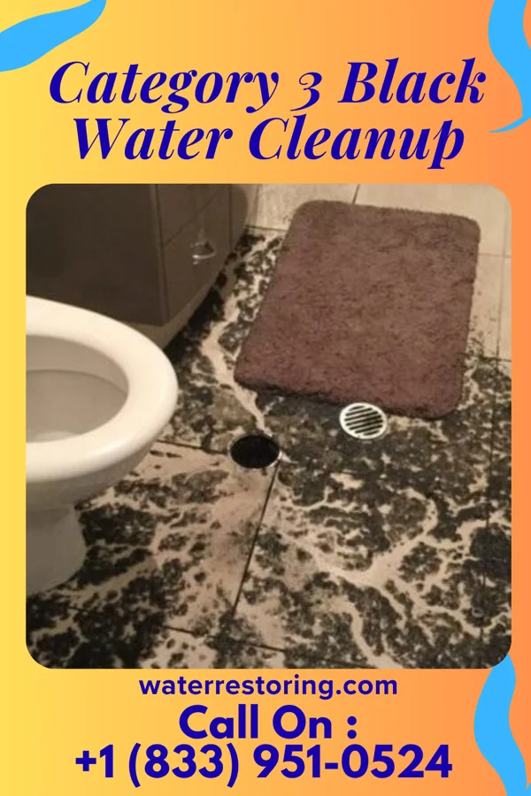 Category 3 Black Water Cleanup in Mountain Lodge Park, NY