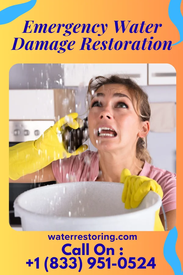 Emergency Water Damage Restoration in Mountain Lodge Park, NY