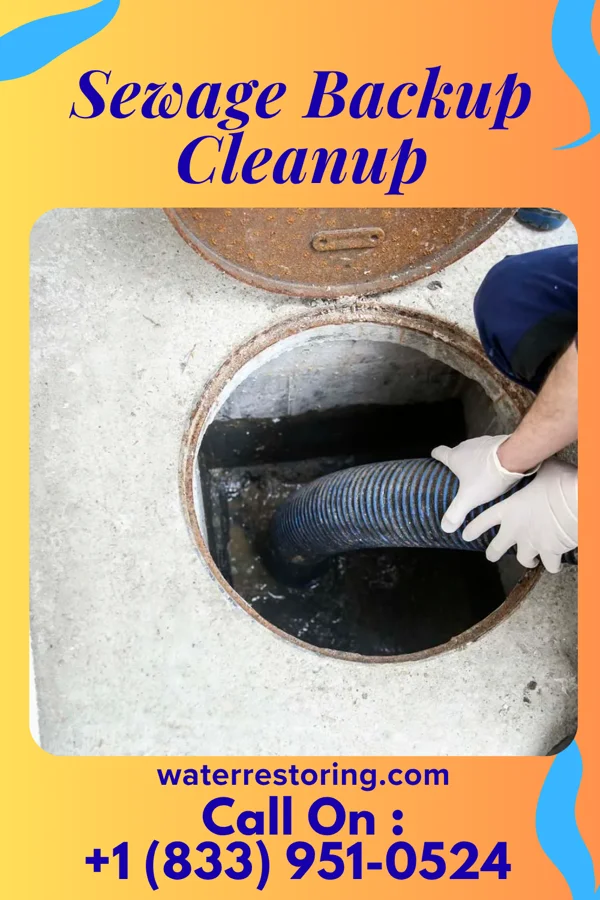 Sewage Backup Cleanup in Mountain Lodge Park, NY