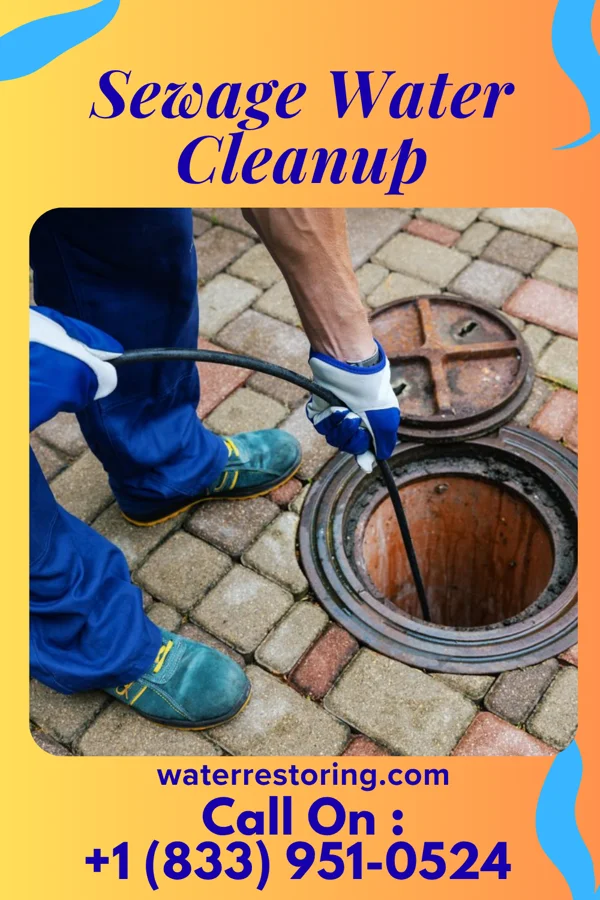 Sewage Water Cleanup in Mountain Lodge Park, NY