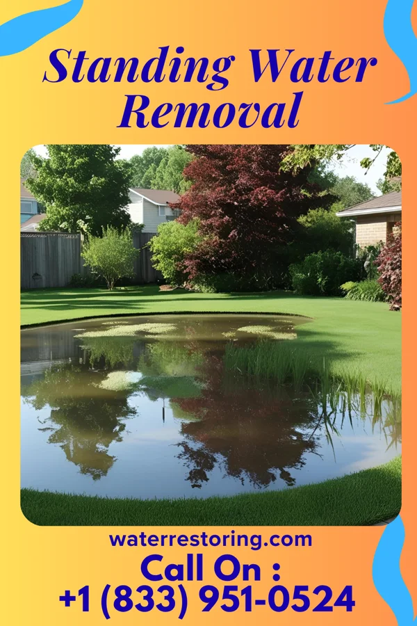 Standing Water Removal in Mountain Lodge Park, NY
